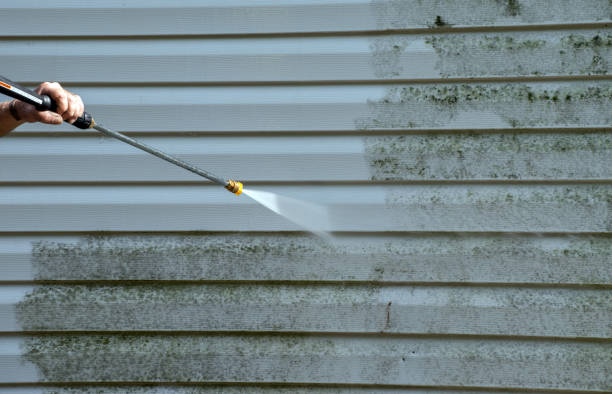 Best Exterior Home Cleaning  in Dysart, IA