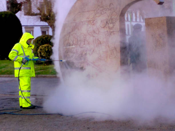 Best Pressure Washing Brick  in Dysart, IA