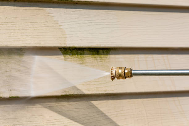 Best Deck Pressure Washing  in Dysart, IA