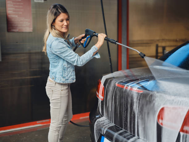 Best House Pressure Washing  in Dysart, IA
